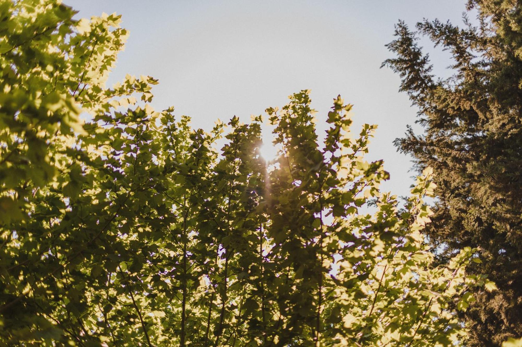 Porte Des Alpilles By M.a Destination Glamping *