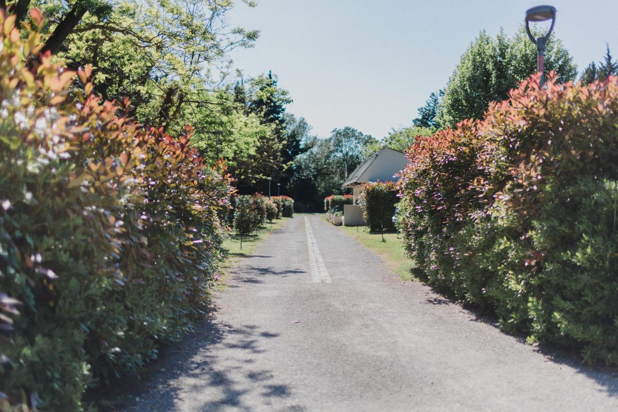Porte Des Alpilles By M.a Destination Glamping *